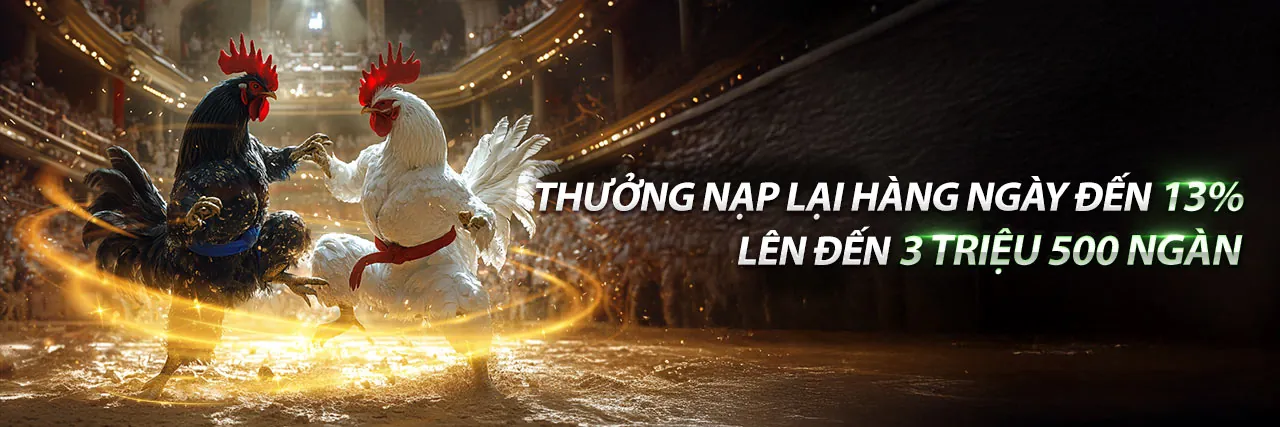 Blog Hot51: Cập nhật mới nhất về cá cược trực tuyến và giải trí